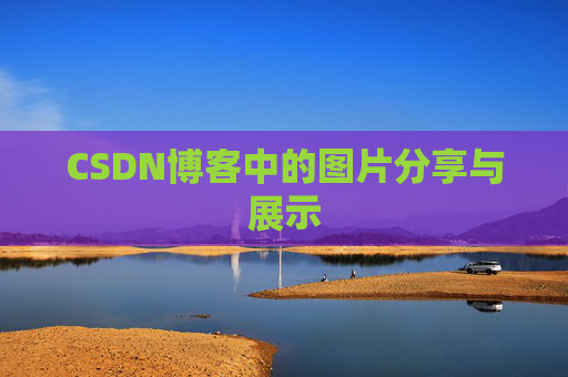 CSDN博客中的图片分享与展示
